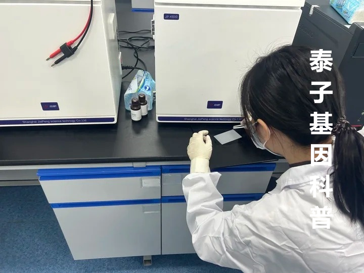 DNA鉴定确定身份