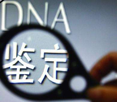 广州隐私亲子鉴定