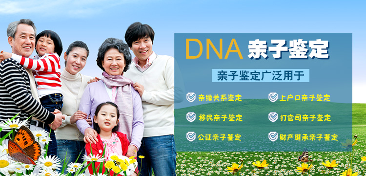 亲子DNA轮播图
