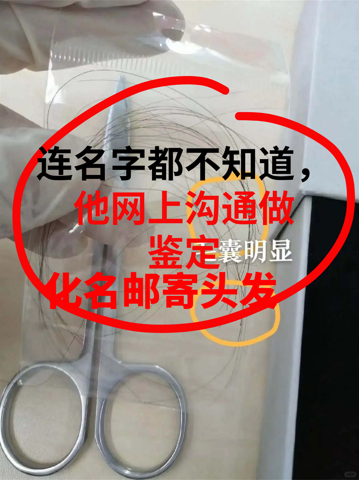 结婚8年3个女儿全非亲生!男子刷新闻起疑,4次DNA鉴定结果太扎心