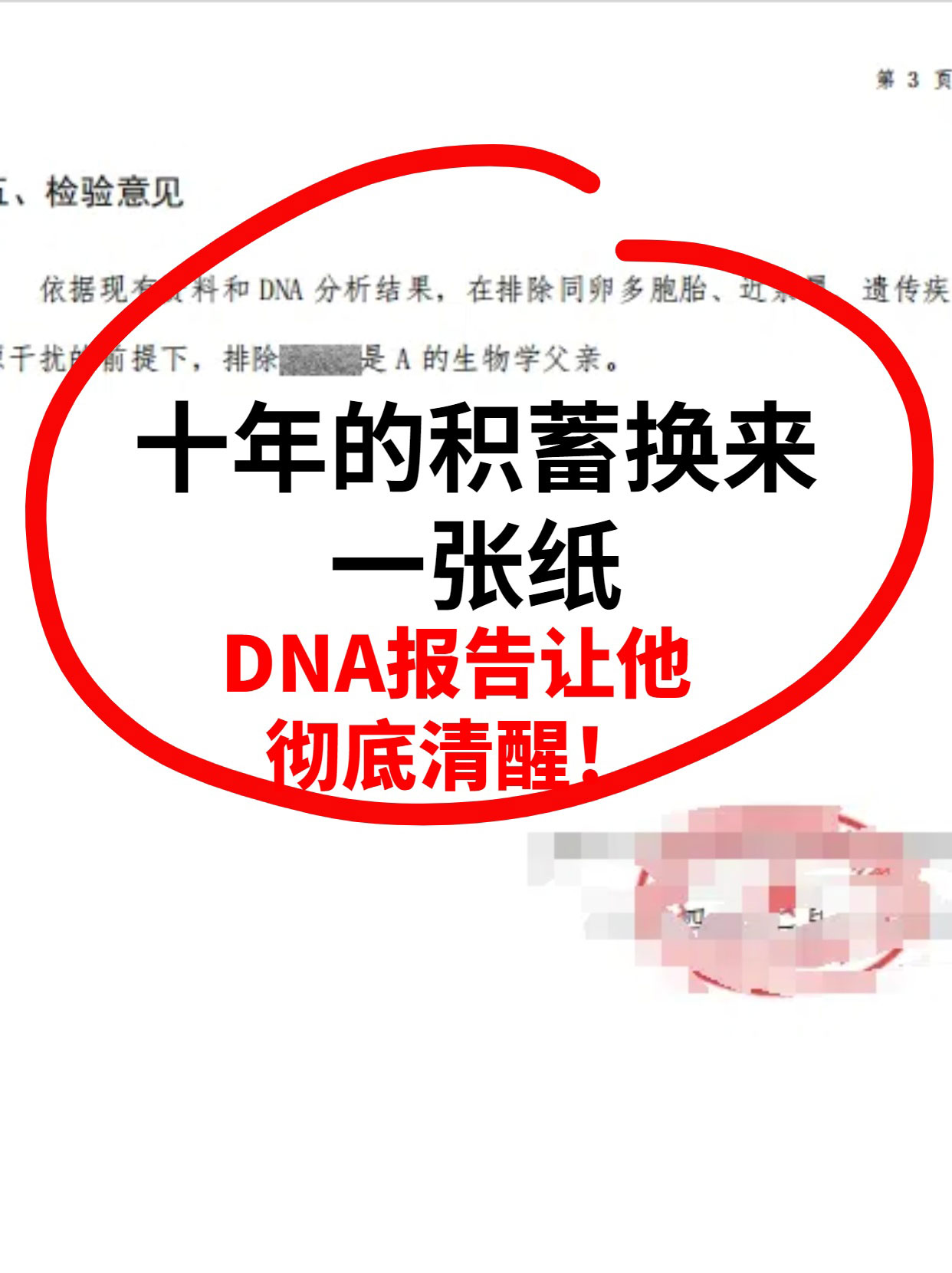 亲子鉴定案例展示一 亲子鉴定案例展示一