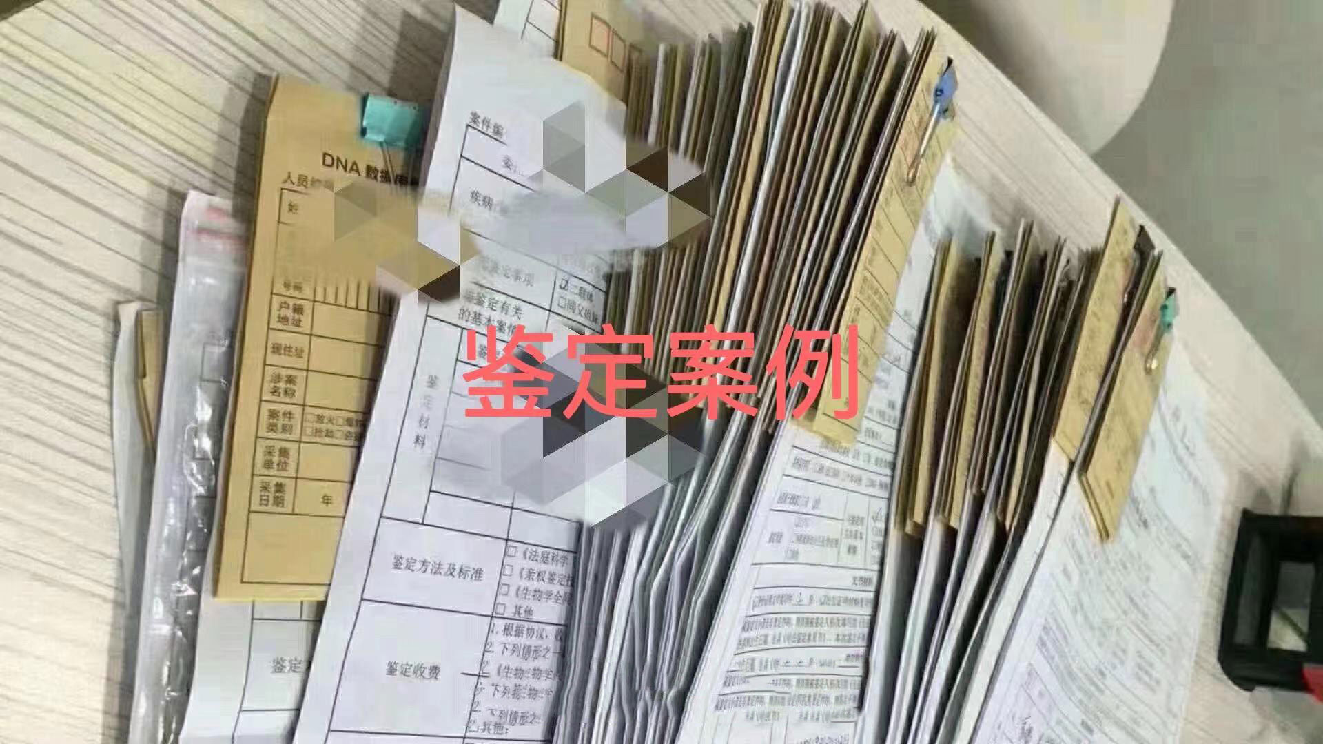 亲子鉴定案例展示十二.jpg