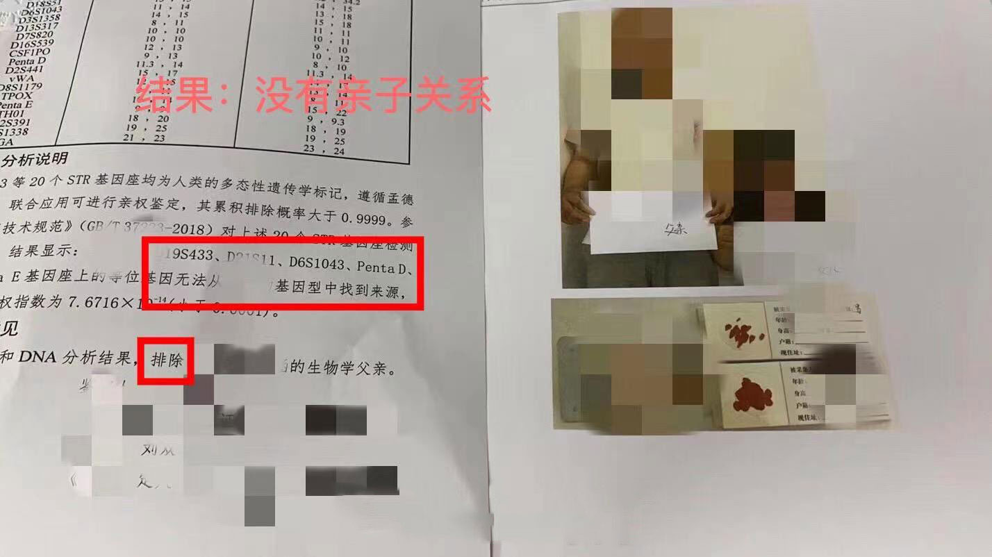 亲子鉴定案例展示十三