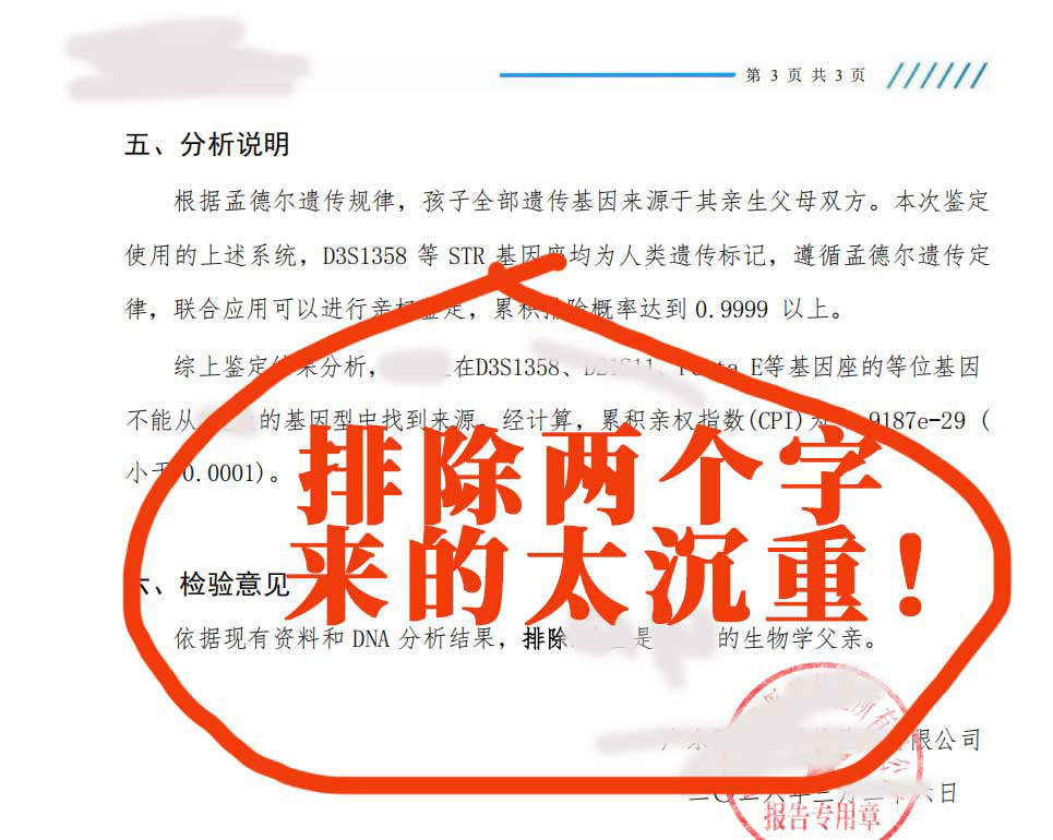 亲子鉴定案例展示十五