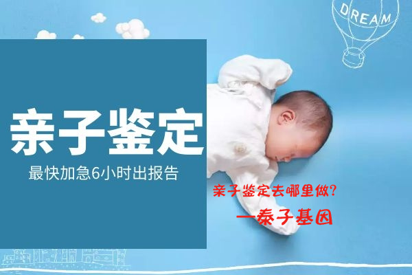 主人1 主人1