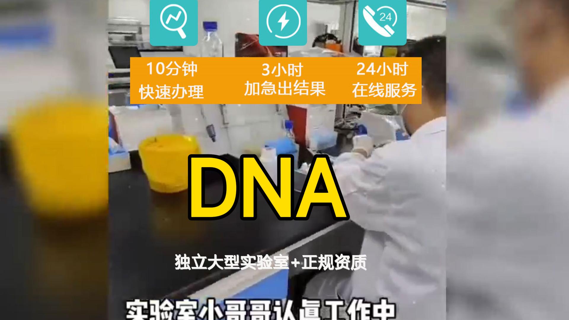 9月13日实验室-封面 9月13日实验室-封面