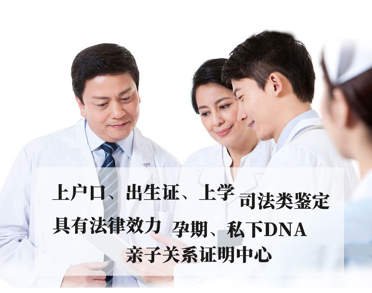 专家3 专家3